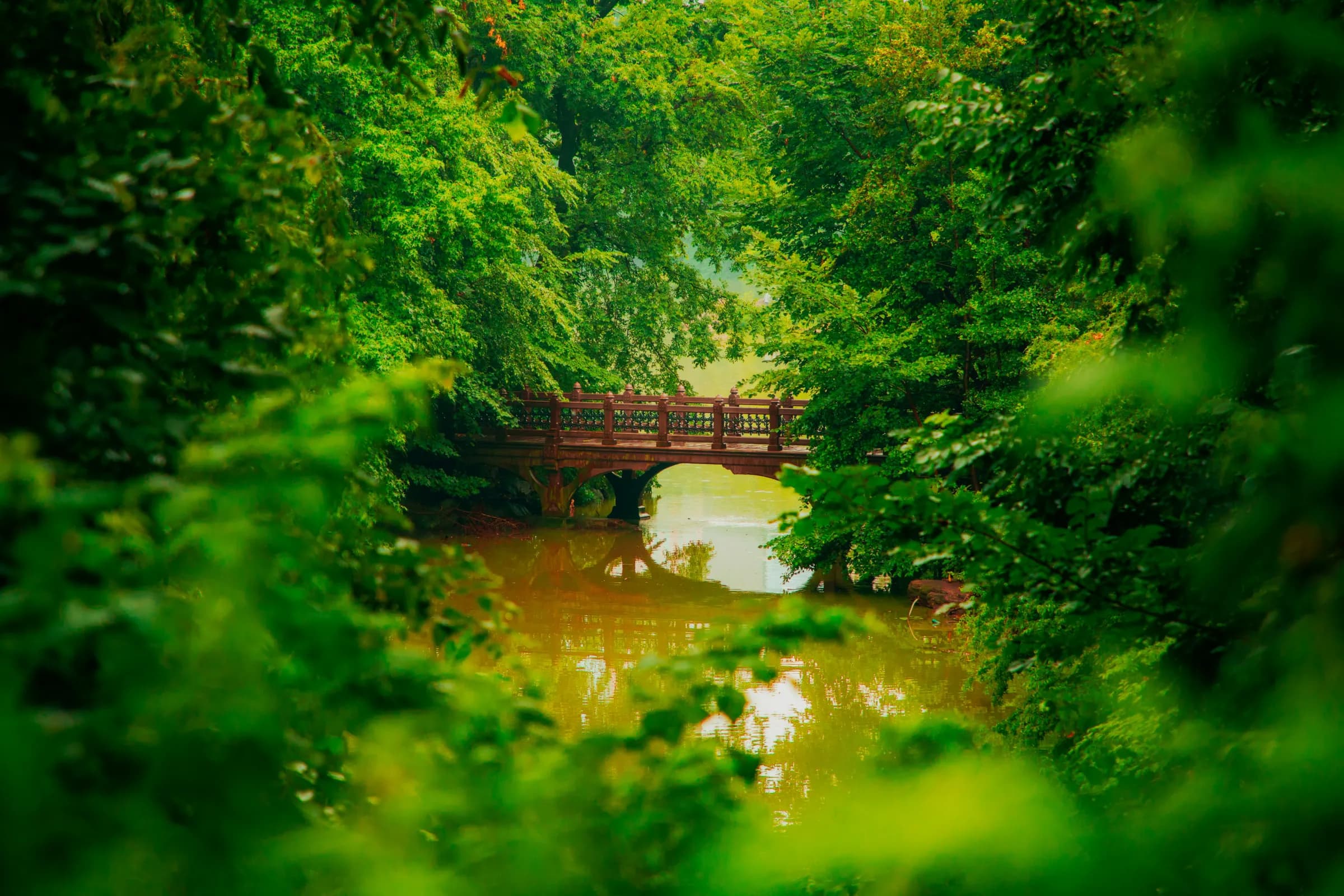 A decorative wooden bridge nestled within lush green trees and foliage