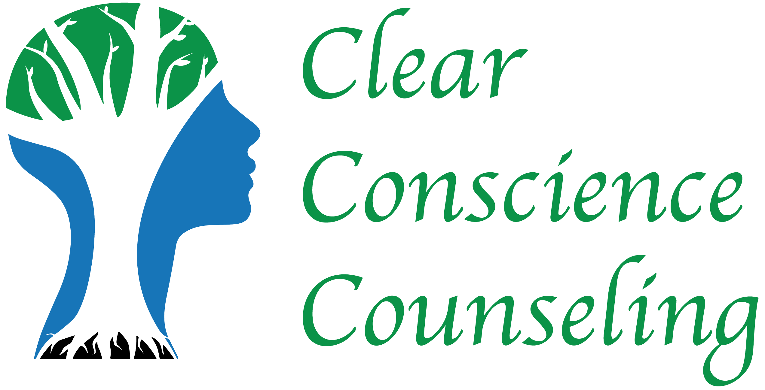 Clear Conscience Counseling